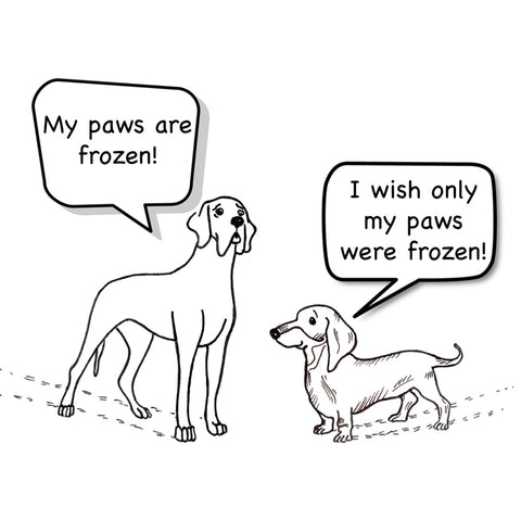 Freezy paws! - Merry Christmas Greeting Card